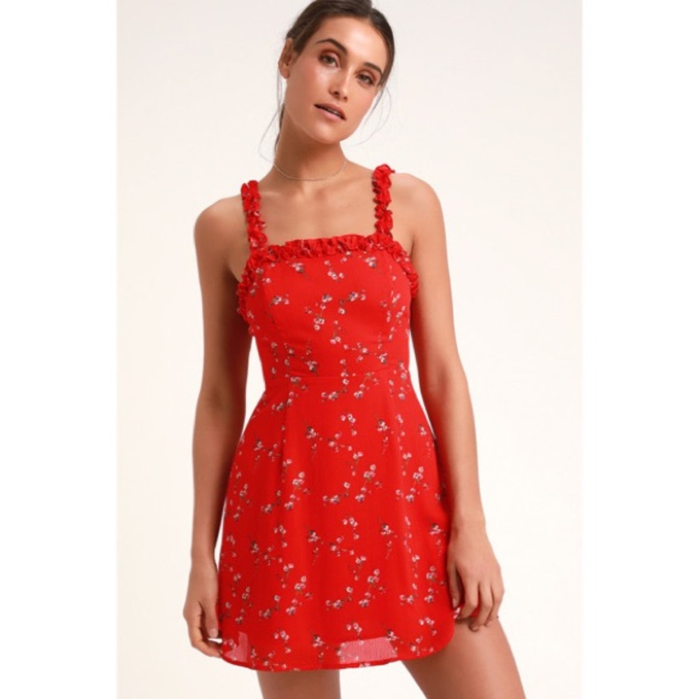 Lulu’s In the Garden Red Floral Print Skater Dress